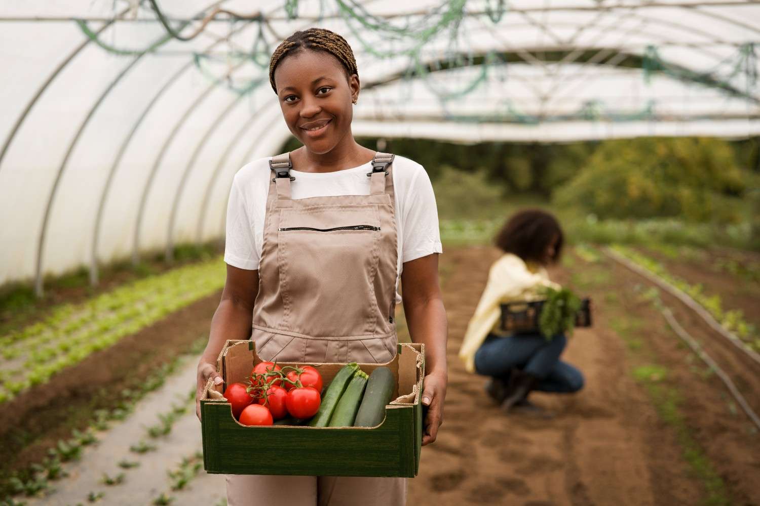 Agriculture
