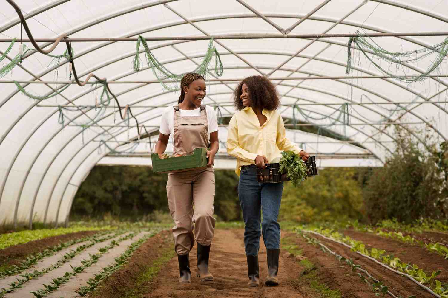 Innovative Farming Practices